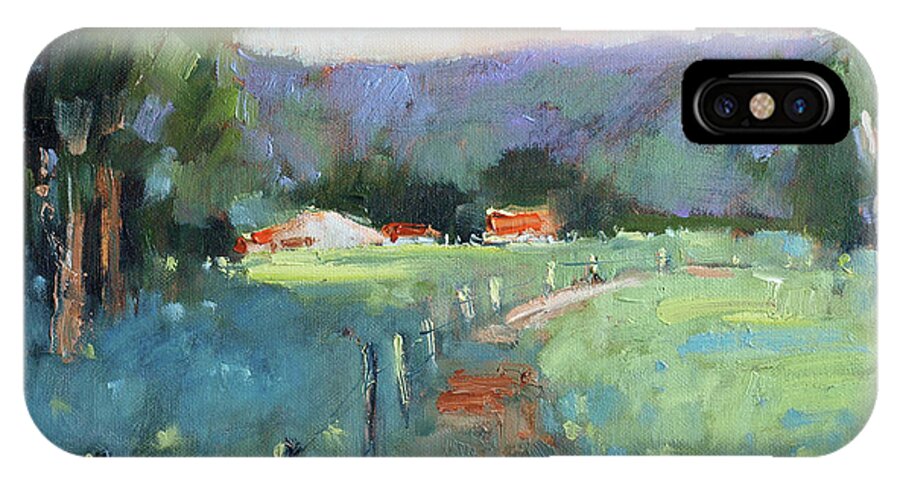Texas iPhone X Case featuring the painting Sun Struck Farm by Joyce Hicks