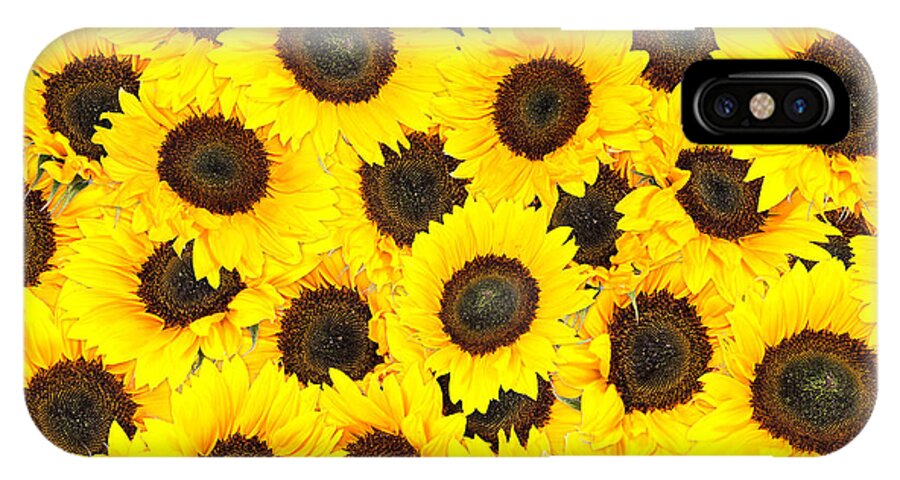Sunflower Background Iphone X Case For Sale By Handmade Pictures