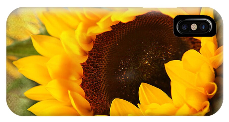 Sunflowers Photos iPhone X Case featuring the photograph Sunflower by Eden Baed