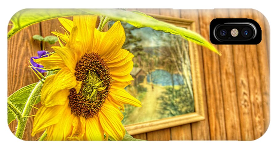 Sunflower On A Fence iPhone X Case featuring the photograph Sunflower on a fence by Jim Lepard