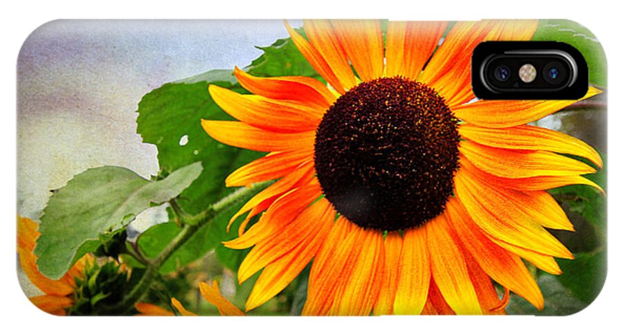 Sunflower iPhone X Case featuring the digital art Sunflower by Trina Ansel