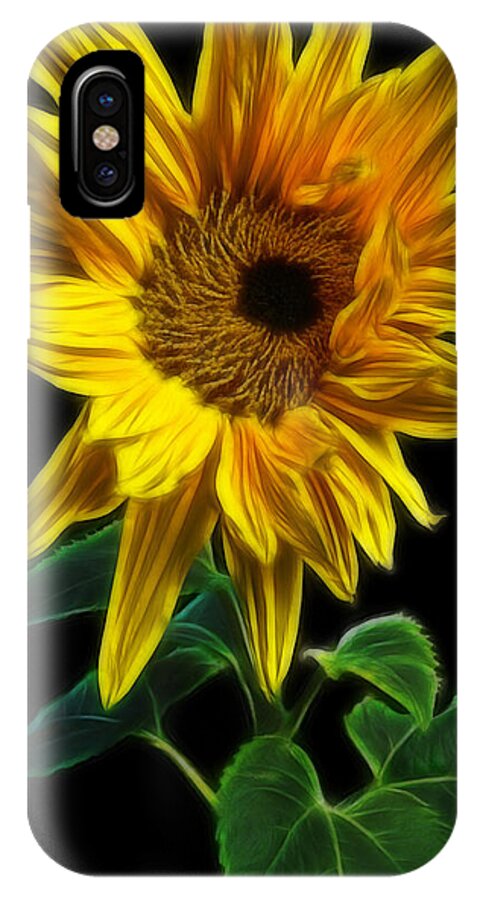 Sunflower iPhone X Case featuring the photograph Sunflower by Yvonne Johnstone