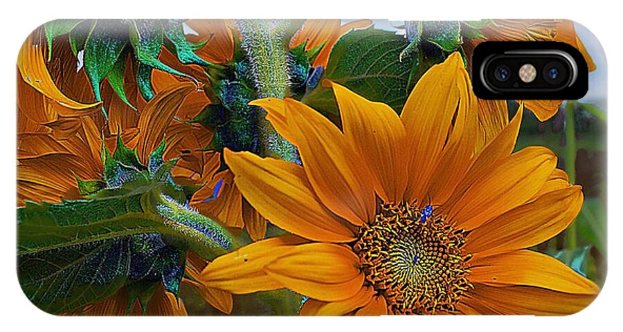 John+kolenberg iPhone X Case featuring the photograph Sunflowers In A Bunch by John Kolenberg