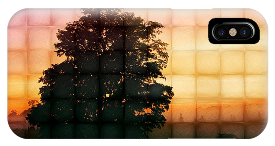 Tree iPhone X Case featuring the photograph Sunset Grid 2 by John Cardamone