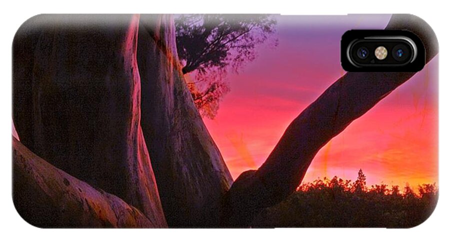 Trees iPhone X Case featuring the photograph Sunset Madrone 3 by Anne Thurston