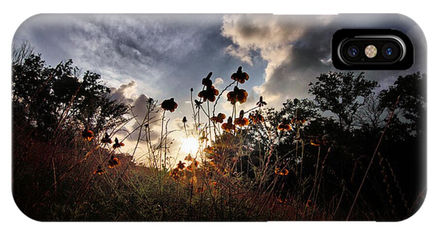 Flowers iPhone X Case featuring the digital art Sunset on Daisy by Linda Unger