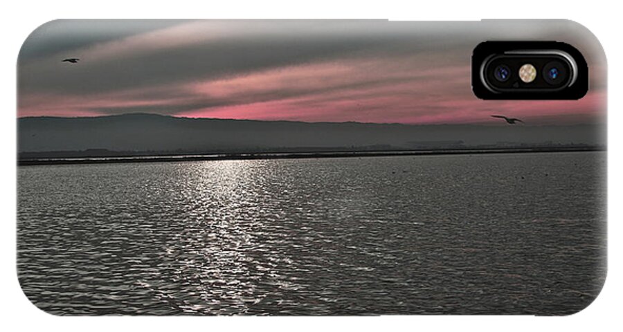 Birds iPhone X Case featuring the photograph Sunset On The Marsh by SC Heffner