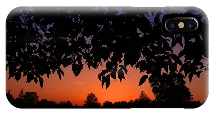 Sunset iPhone X Case featuring the photograph Sunset Through The Trees by Joyce Dickens