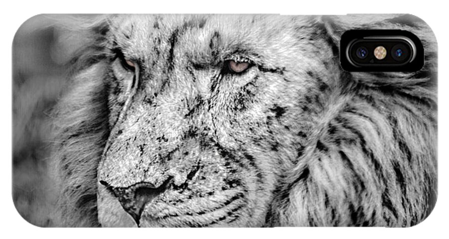 Lion iPhone X Case featuring the photograph Surreal Lion by James Woody