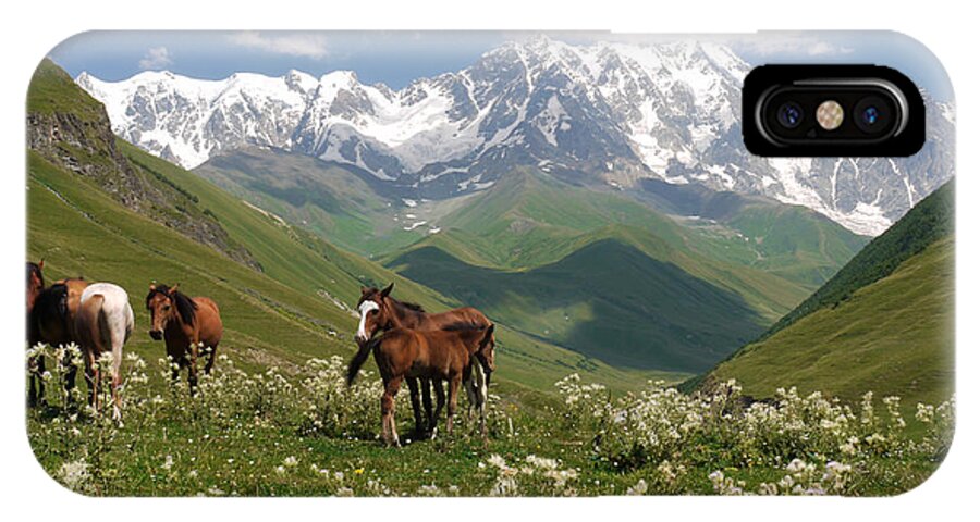 Horse iPhone X Case featuring the photograph Svaneti by Ivan Slosar