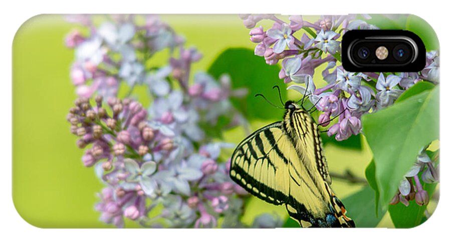Landscape iPhone X Case featuring the photograph Swallowtail Butterfly by Cheryl Baxter
