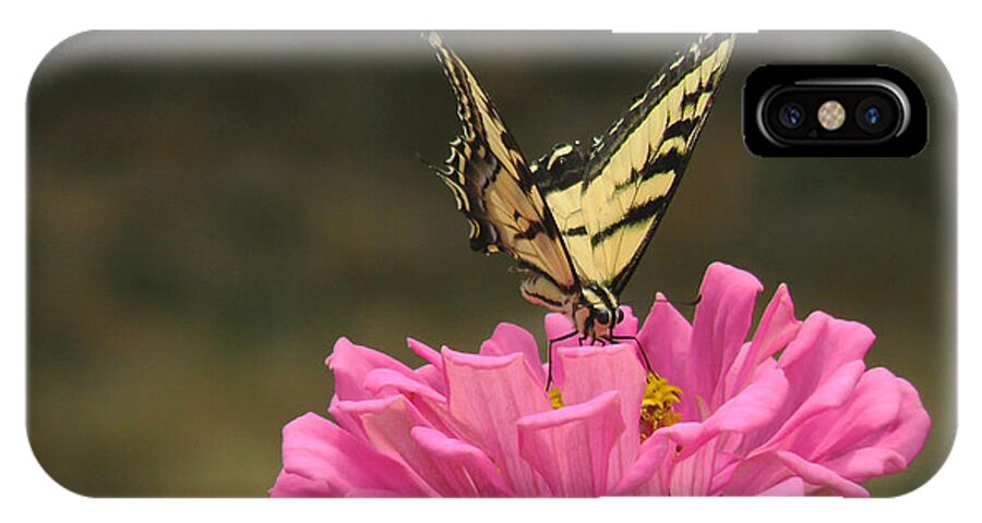 Insect iPhone X Case featuring the photograph Swallowtail on a Zinnia by Debby Pueschel