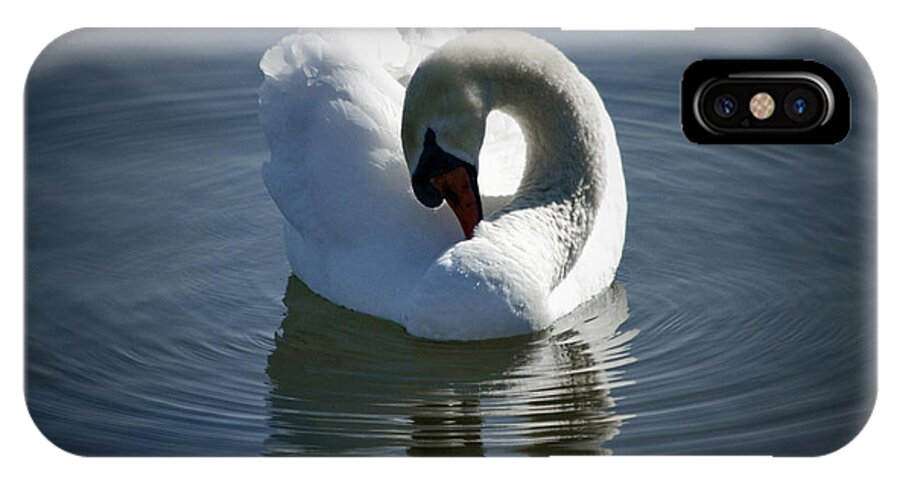 Swan iPhone X Case featuring the photograph Swan Lake by Pennie McCracken