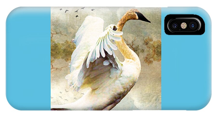 Bird iPhone X Case featuring the photograph Swan Sense by Kathy Bassett