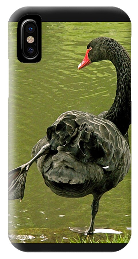 Swan iPhone X Case featuring the photograph Swan Yoga by Rona Black