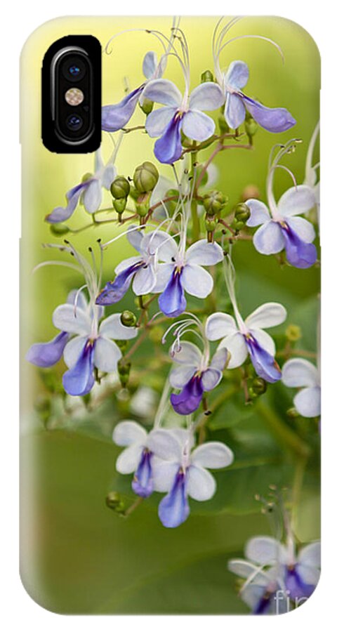 Amazing iPhone X Case featuring the photograph Sweet Butterfly Flowers by Sabrina L Ryan