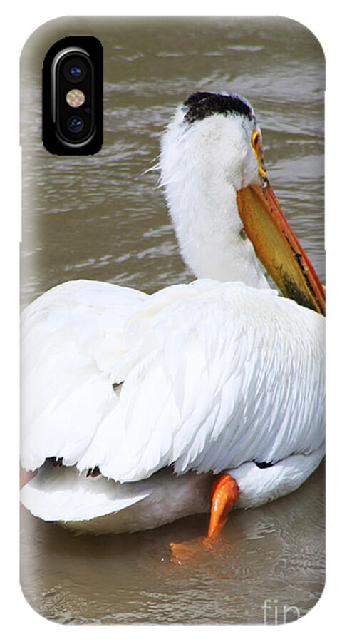 Bird iPhone X Case featuring the photograph Swimming Away by Alyce Taylor