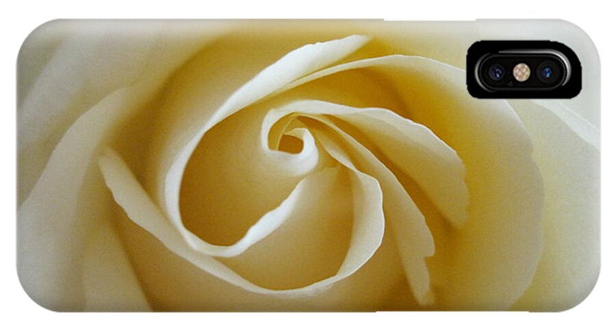 Floral iPhone X Case featuring the photograph Tenderness White Rose by Tara Shalton