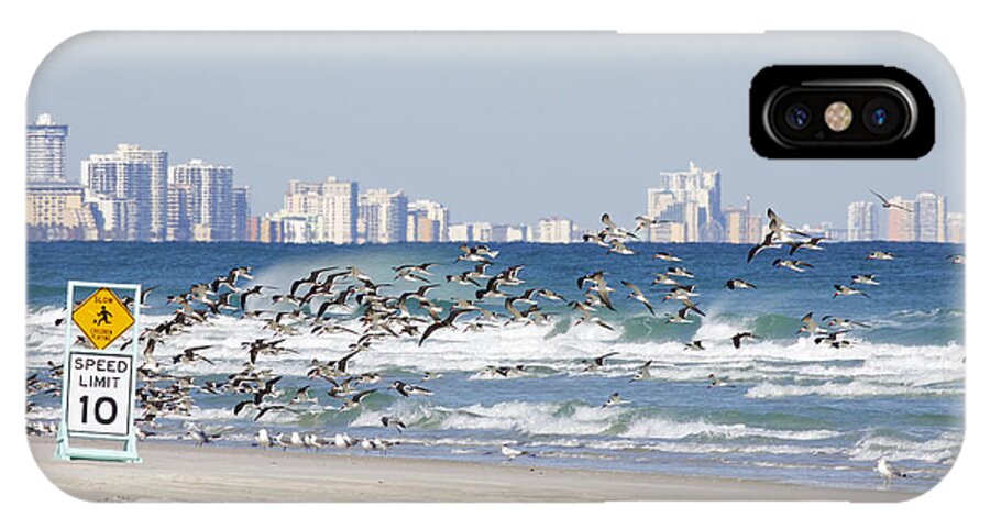 Birds iPhone X Case featuring the photograph Terns On The Move by Deborah Benoit