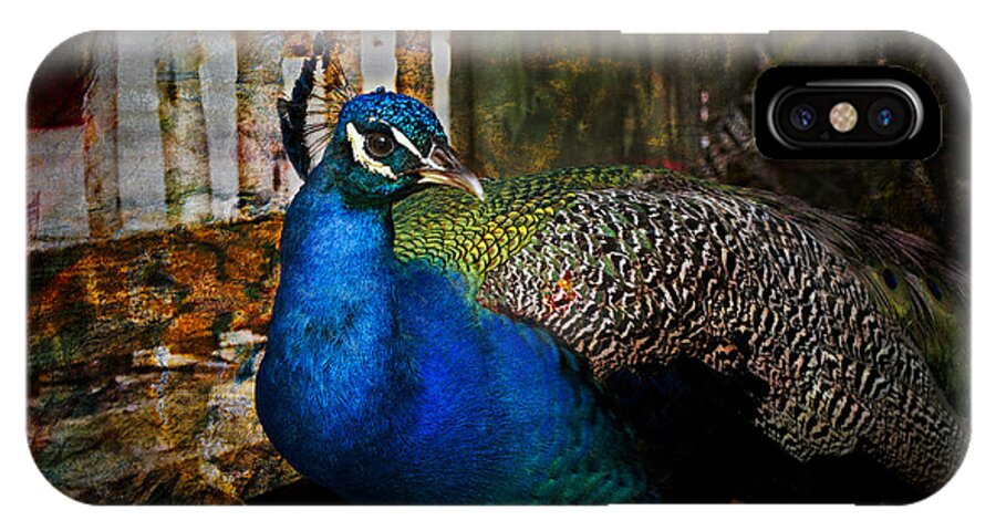 Animals iPhone X Case featuring the photograph The Beauty by Debra and Dave Vanderlaan