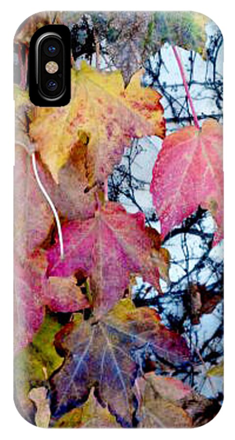 Color iPhone X Case featuring the photograph The Beauty of Change by Barbara J Blaisdell