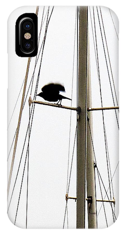 Crows iPhone X Case featuring the photograph The Crow Leaving The Absent Crows Nest by John King I I I