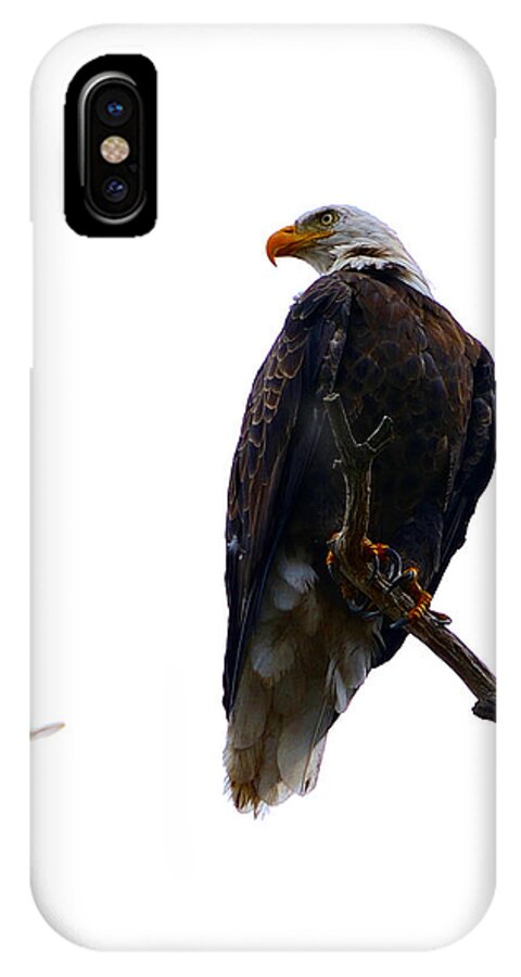 Bald iPhone X Case featuring the photograph The Eagle and The Hummingbird by Tranquil Light Photography