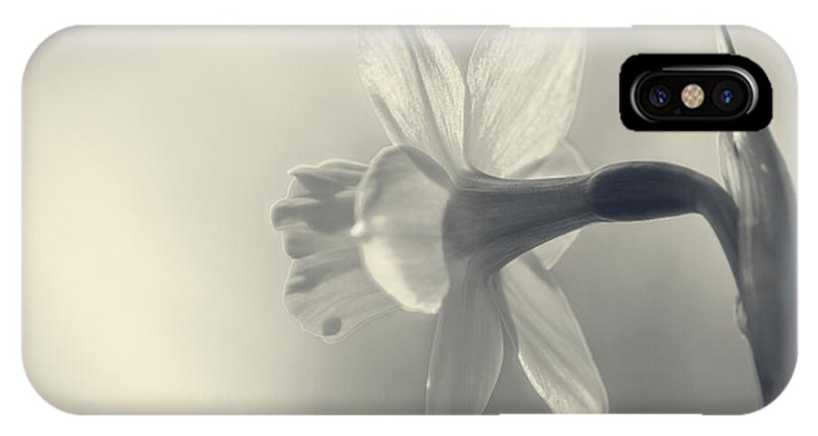 Daffodills iPhone X Case featuring the photograph The End by Sandra Parlow