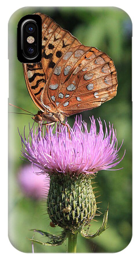 Butterfly iPhone X Case featuring the photograph The Explorer by J Laughlin