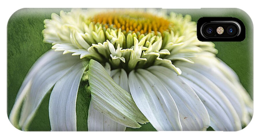 Coneflower iPhone X Case featuring the photograph The First Coneflower by Terry Rowe