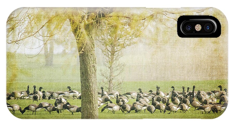 Flock iPhone X Case featuring the photograph The Gathering by Cathy Kovarik