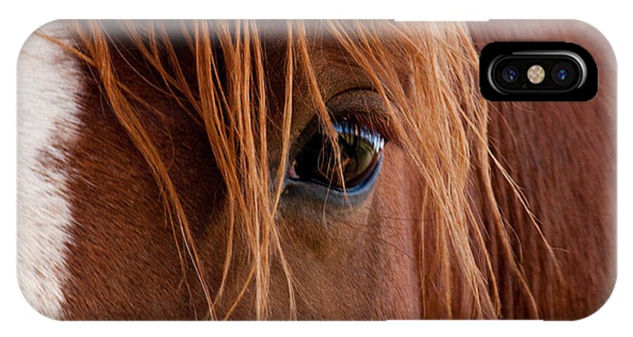 Horse iPhone X Case featuring the photograph The gentle eye by Eric Rundle