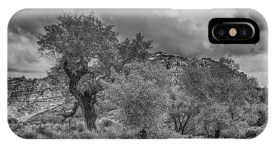 Black And White iPhone X Case featuring the photograph The Grouped Cottonwoods by Mitch Johanson