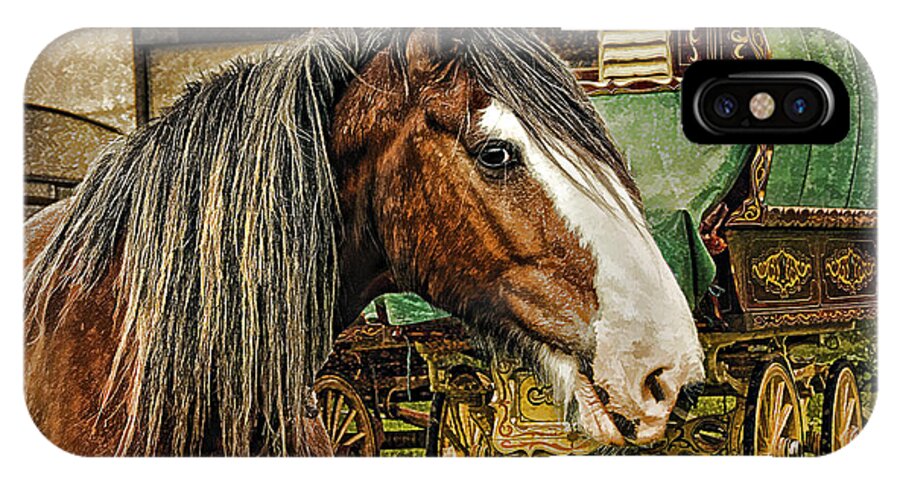 Gypsy Horse iPhone X Case featuring the photograph The Gypsy Vanner by Brian Tarr