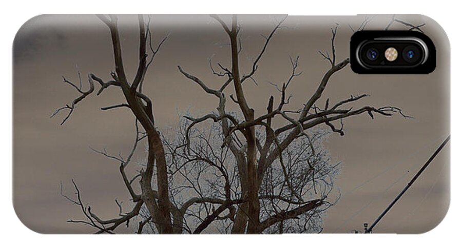Spooky iPhone X Case featuring the photograph The Haunting Tree by Alys Caviness-Gober