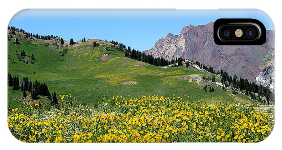 Albion Basin iPhone X Case featuring the photograph The Hills are Alive by Marty Fancy