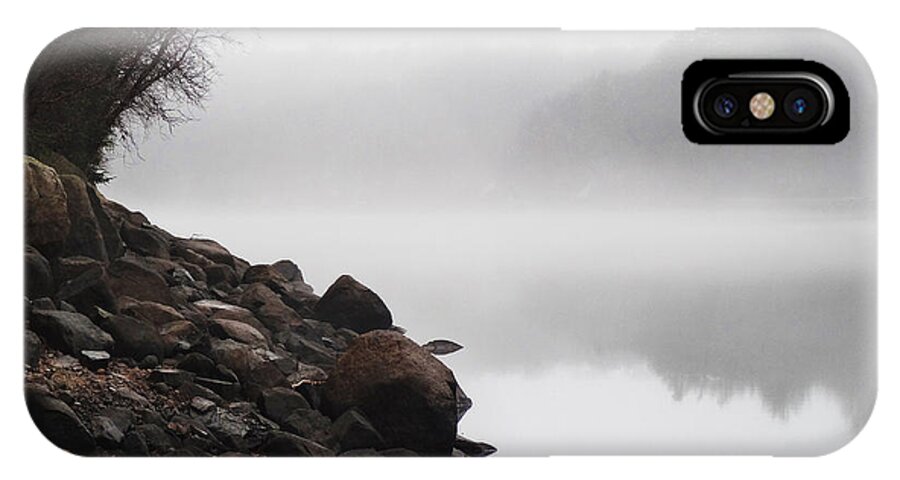 Lynn Woods iPhone X Case featuring the photograph The Mist by Dana DiPasquale