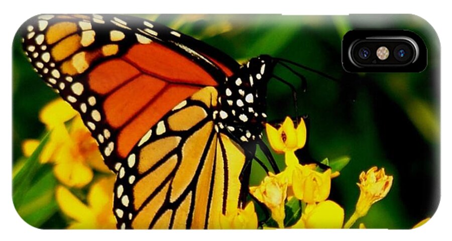 Butterfly iPhone X Case featuring the photograph The Perfect Pose by Leea Baltes