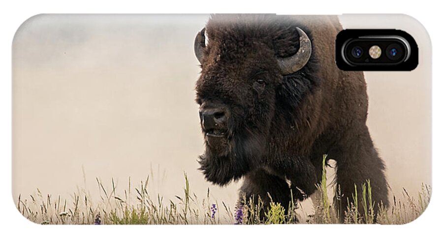 Bison Bison iPhone X Case featuring the photograph The Power and the Passion by Sandy Sisti