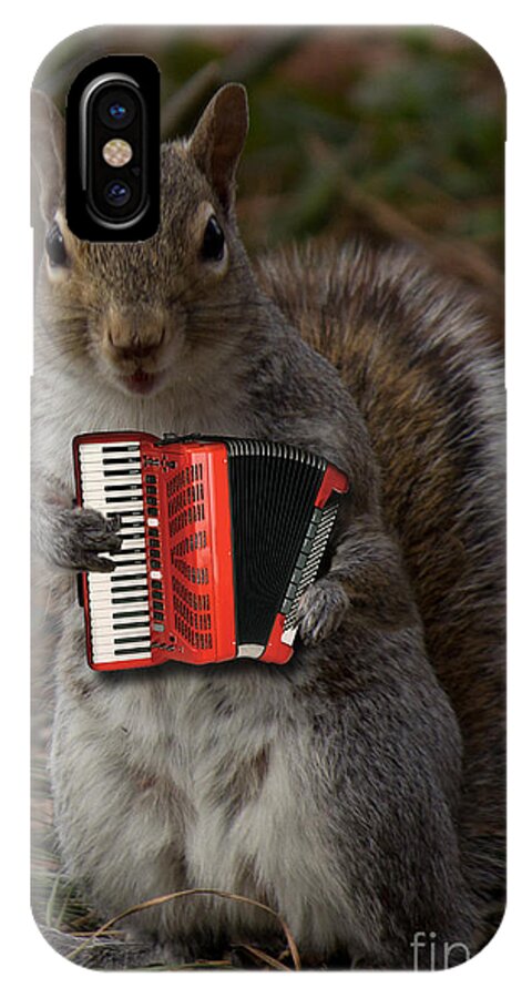 Furry iPhone X Case featuring the photograph The Squirrel and his Accordion by Sandra Clark