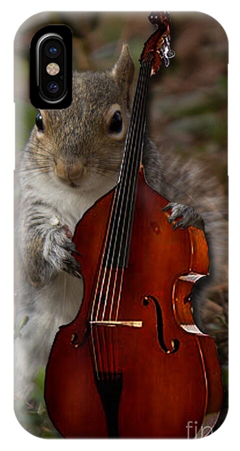 Wood iPhone X Case featuring the photograph The squirrel and his Double Bass by Sandra Clark