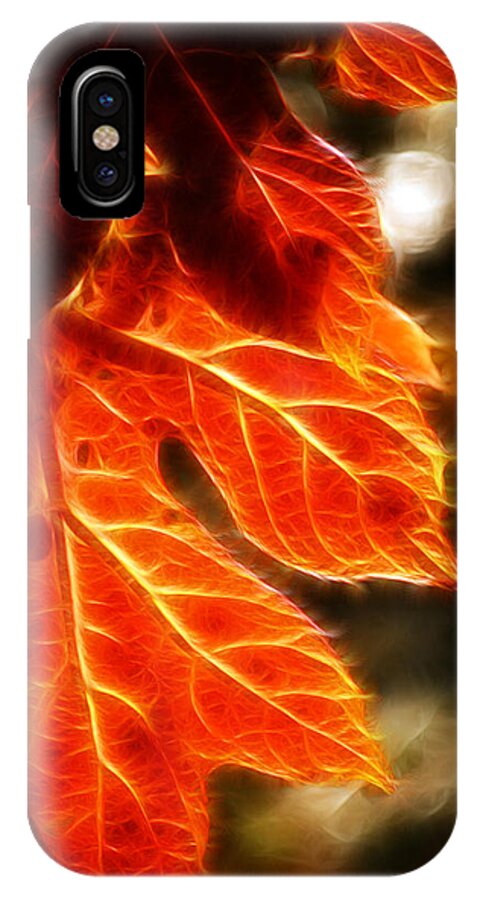 Fall iPhone X Case featuring the photograph The Warmth of Fall by Lisa Stanley