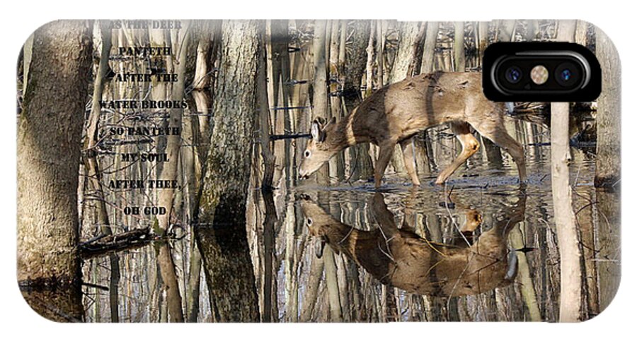 Deer iPhone X Case featuring the photograph Thirsty For God by Lorna Rose Marie Mills DBA Lorna Rogers Photography
