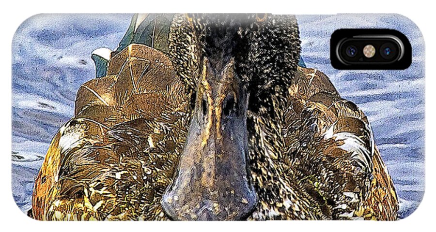 Duck iPhone X Case featuring the photograph This Bill Is Made For Shoveling Northern Shoveler by Constantine Gregory