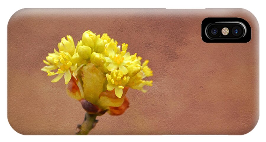 Bud iPhone X Case featuring the photograph This Bud's For You by Deena Stoddard