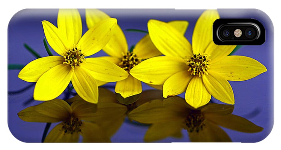 Tiny Yellow Flowers iPhone X Case featuring the photograph Tickseed Trio by Suzanne Stout