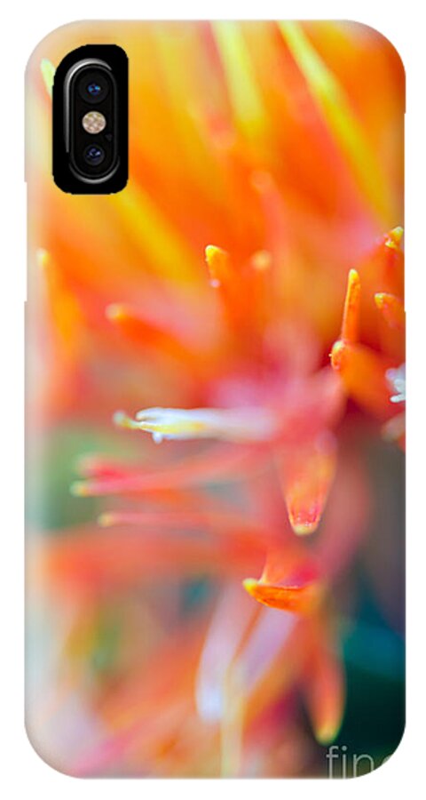 Abstract iPhone X Case featuring the photograph Tie-Dye by Tamara Becker