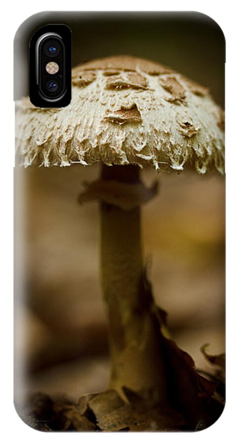Mushroom iPhone X Case featuring the photograph Tiffany Shroom by Shane Holsclaw