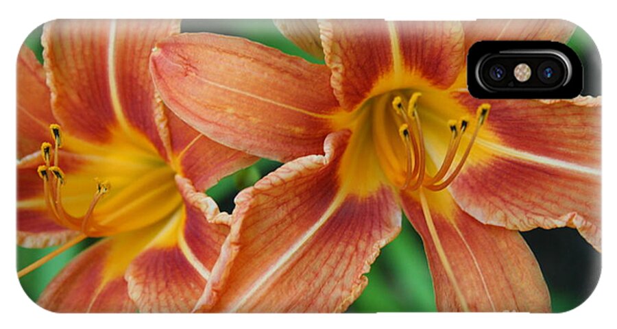 Tiger Lily iPhone X Case featuring the photograph Tiger lily 3 by Jim Gillen