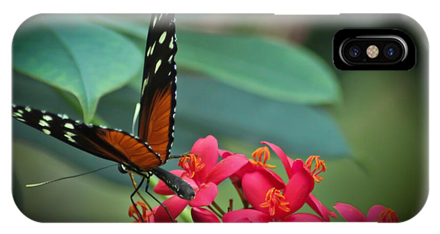 Tiger Longwing Butterfly Photographs iPhone X Case featuring the photograph Tiger Longwing Butterfly by Joann Copeland-Paul
